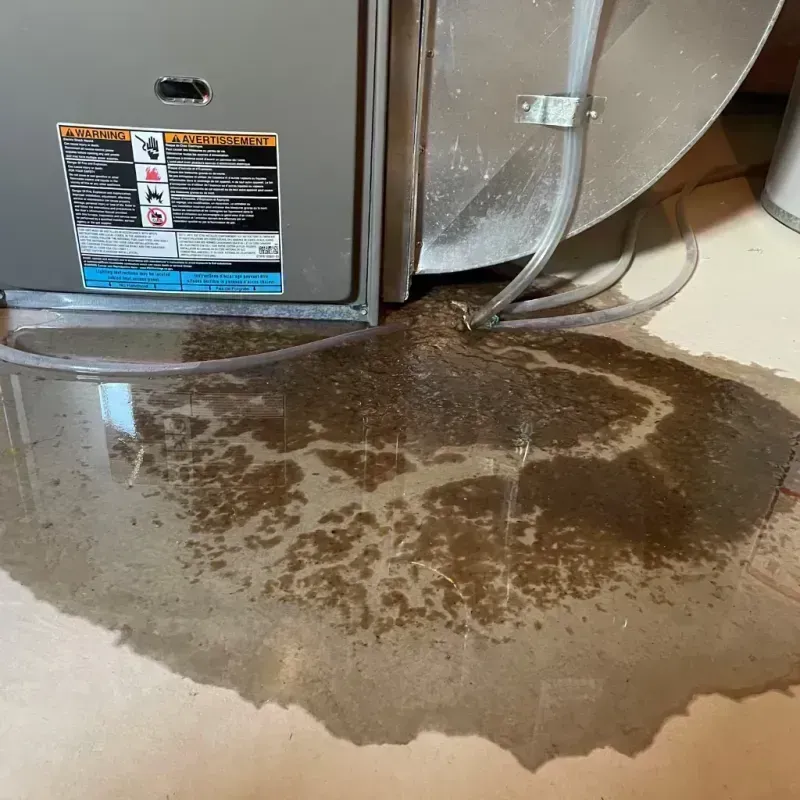 Appliance Leak Cleanup in Canyon Day, AZ